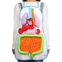 Kitchen Anatomy Apron Human Body Organ Educational Tool Children Preschool Teaching Aid Nail Salon Dress Women Men Apron Aprons