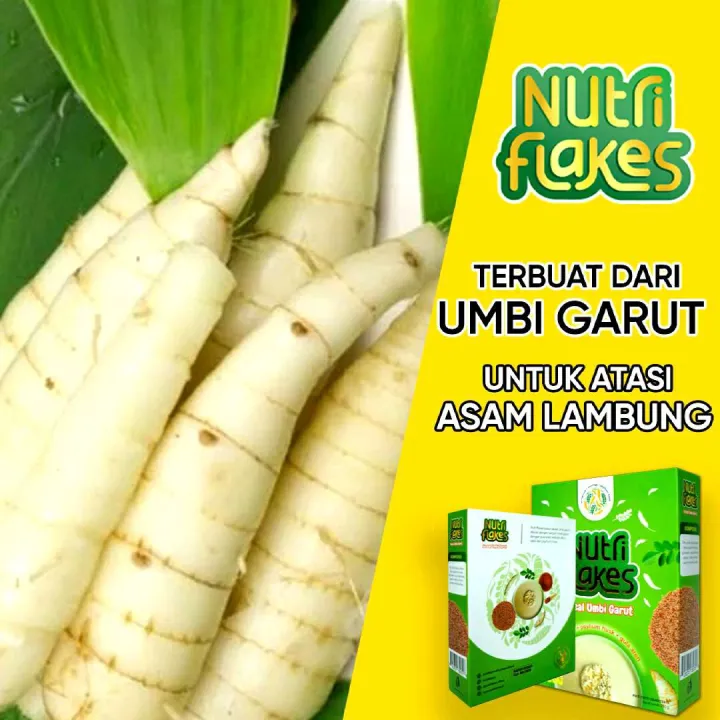 Sereal Umbi Garut Nutriflakes 2 Box Atasi Masalah Pencernaan Sembuhkan Gerd Dan Asam 2574