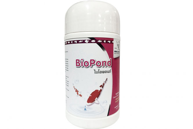 biopond-ไบโอพอนด์-จุลินทรีย์สำหรับทำระบบกรองชีวภาพ-ทำให้น้ำใส-สลายของเสีย-ปรับสภาพน้ำ-ควบคุมแอมโมเนีย