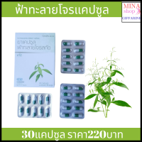 ฟ้าทะลายโจรสกัดชนิดแคปซุล จากกิฟฟารีน ขนาด 30 แคปซูล giffarine ส่งฟรี จากร้าน mina shopส่งฟรีไม่มีบวกเพิ่ม ของแท้่ 100%