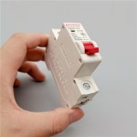 1P Dz47-63 Air Switch Household Air Switch Small Leakage Circuit Breaker Main Switch 16a32a63a 220v-400v