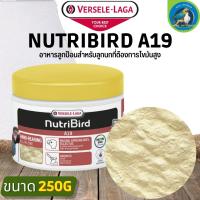 NutriBird A19 อาหารลูกป้อน เพื่อป้อนลูกนก สูตรไขมันและพลังงานสูง สำหรับนกขนาดกลาง-ใหญ่ (250g)