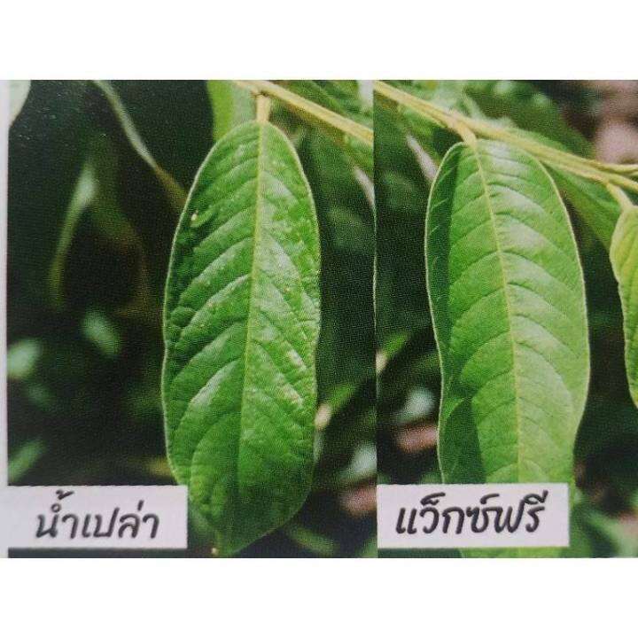 สารเสริมประสิทธิภาพ-แว็กซ์ฟรี-สารจับใบ-กิฟฟารีน-สูตรใหม่-ช่วยแก้ปัญหาเมื่อต้องฉีดพ่นสารในฤดูฝน-ปุ๋ย-สวน