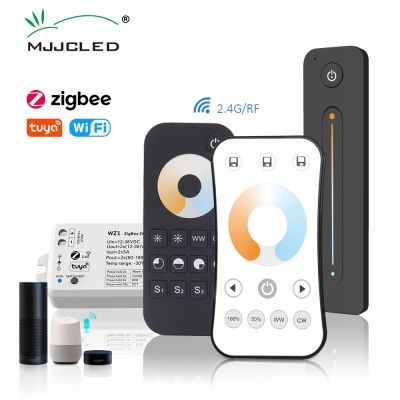 ℗☽ Tuya Zigbee LED Dimmer Switch 12V 24V DC 2CH 10A Smart Wifi 2.4G RF Remote Cloudy Voice Control Push Dimming CCT Controller WZ1