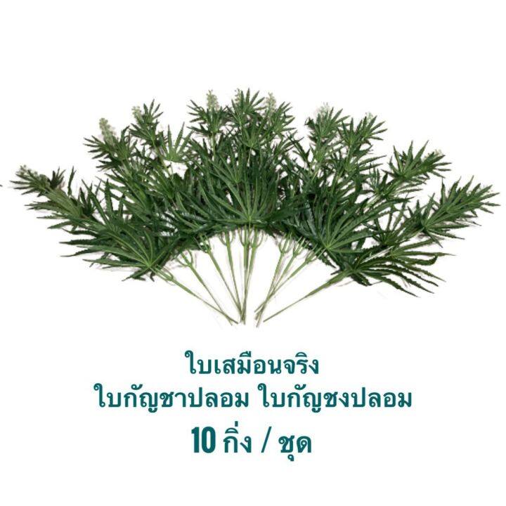 สุดคุ้ม-ใบกัญชงปลอม-ใบปลอม-ใบเสมือนจริงพร้อมดอก-แพ็คละ-10-ช่อ-ราคาถูก-พรรณ-ไม้-น้ำ-พรรณ-ไม้-ทุก-ชนิด-พรรณ-ไม้-น้ำ-สวยงาม-พรรณ-ไม้-มงคล