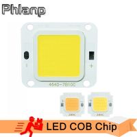 COB 4640 10W 20W 30W 50W 60W 70W LED light beads 32V Warm Cold white high power lamp long life good chips for Street Lights