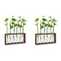 2X Plant Terrarium with Wooden Stand, Desktop/Wall Hanging Live Plant Propagation Station Planters Glass Tubes