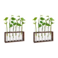 2X Plant Terrarium with Wooden Stand, Desktop/Wall Hanging Live Plant Propagation Station Planters Glass Tubes