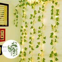 Artificial Battery-operated indoor Lights Festoon String for Weeding