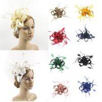 TEEQDFA ขนนกริบบิ้น กิ๊บติดผม Brid fascinator แถบคาดศีรษะ พร้อมคลิปหนีบ หมวก fascinator แฟชั่นสำหรับผู้หญิง สีทึบทึบ หมวกคลุมศีรษะ งานเลี้ยงแต่งงานปาร์ตี้