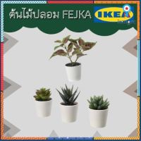 IKEA ?ส่งเร็ว?แท้ ?% อิเกียแท้ 100% IKEA ต้นไม้ปลอม FEJKA เฟคก้า แยกขาย! สินค้ามีจำนวนจำกัด