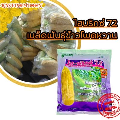 ไฮบริกซ์ 72 เมล็ดพันธุ์ข้าวโพดหวาน 1 กก. ตราแปซิฟิค ฝักใหญ่ หวานนุ่ม เมล็ดกว้างอวบแน่น รากและลำต้นแข็งแรง