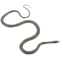 【YF】 Rubber Snake Prank Haunted Prop Fake Spoof Tricky Props Artificial Soft