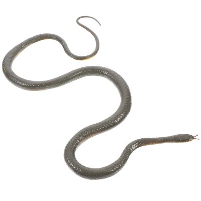 【CC】 Haunted Snake Prop Tricky Props Blush Spoof Soft Rubber Artificial