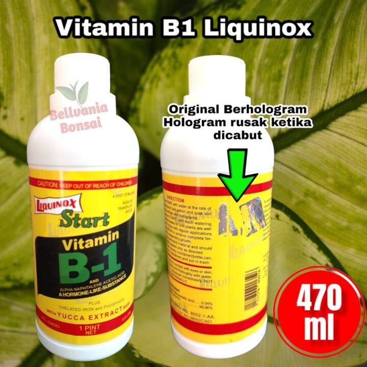 Pupuk Vitamin B1 Tanaman Original USA Berhologram 470ml | Lazada Indonesia