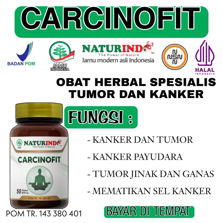 CARCINOFIT - Obat Kanker Tumor Benjolan Alami Berkhasiat - Obat Kanker ...