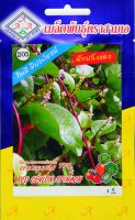 ผักปลังแดง Red Ceylon Spinach เมล็ดพันธุ์ตราสามเอ 1 ซอง น้ำหนักสุทธิ 1 กรัม อัตราความงอก 70%