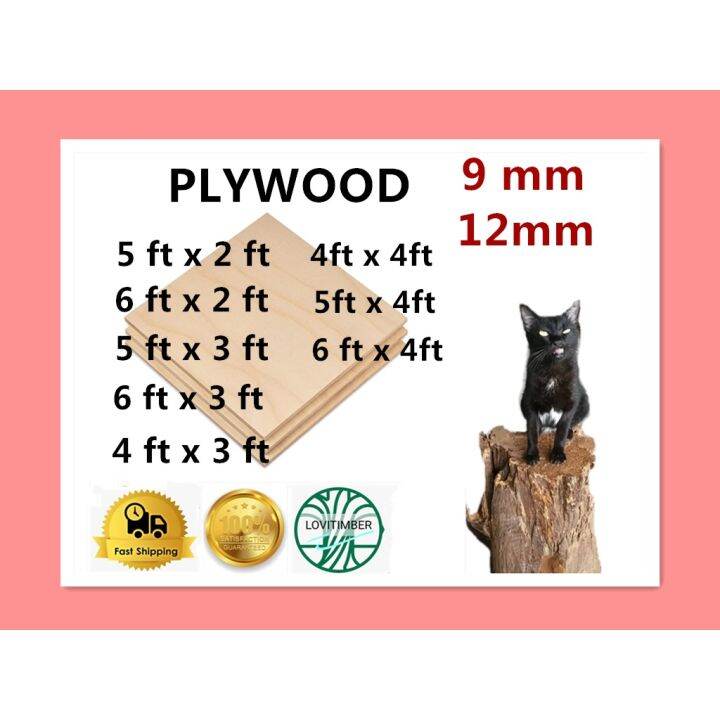 (5ft 6ft) 89mm12mm Quality Plywood sheet Lazada