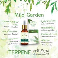 HOT PRICE ซื้อ 3 แถม 2 เซรั่มกัญชง Mildgarden 30 ml