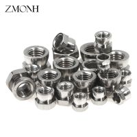 304 Stainless Steel Nut Break Off Shear Anti Theft Nut Breakaway Twist Security Nuts M6 M8 M10 M12