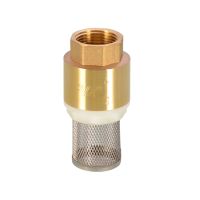 1PCS 1/2" 3/4" 1" 2" BSPP Female Brass Check Valve Non-return With Steel Strainer Filter DN15 DN25 DN40 For Water Plumbing Pump Plumbing Valves