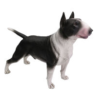 DDWE Bull Terrier Bulldog สัตว์เลี้ยงสุนัข Greyhound จำลองสัตว์ตกแต่ง Bully Pitbull Action ของเล่นรูปสำหรับของขวัญเด็ก