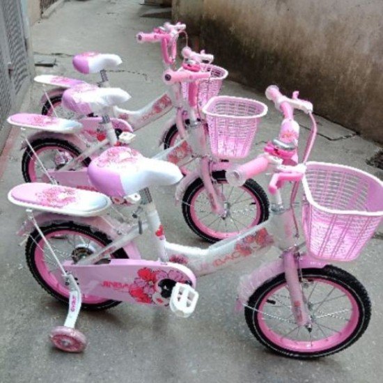 Xe đạp cao cấp trẻ em jinbao 12 inch-14inch - - ảnh sản phẩm 6