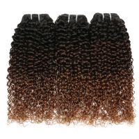 บราซิล Afro Curly Human Hair Bundles Ombre Weaving Colored Remy Human Hair Extensions 1/3/4 Bundles Kinky Curly Hair Bundles