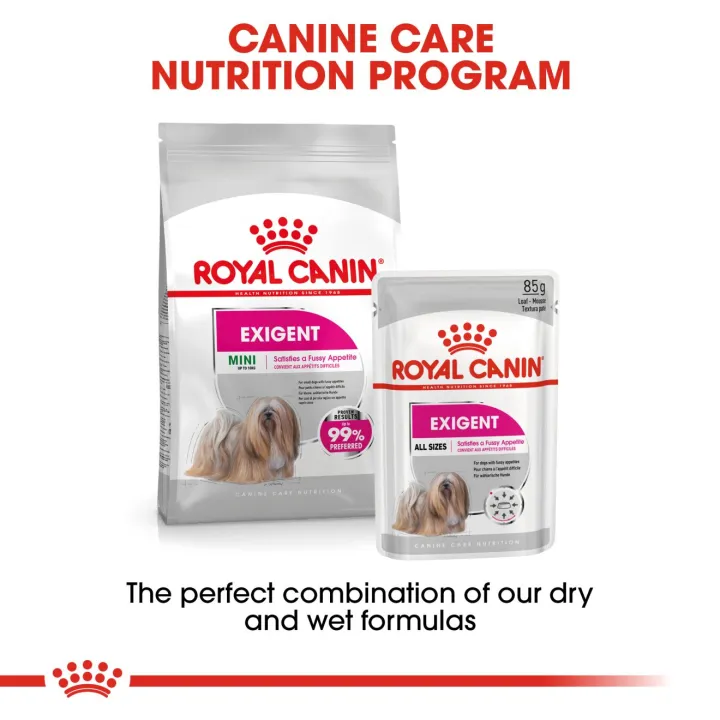 1กล่อง12ซอง-royal-canin-exigent-loaf-อาหารเปียกเนื้อโลฟสำหรับสุนัขกินยาก-เลือกกิน-pouch