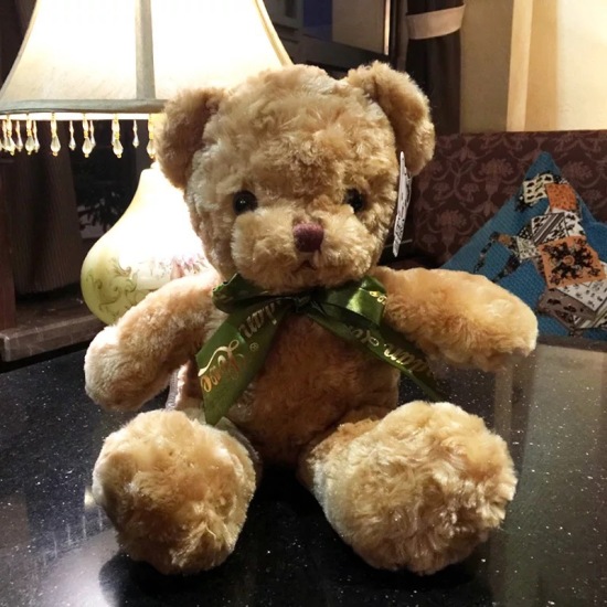 Elala fluffy adorable soft stuffed teddy bear plush toys with lamp - ảnh sản phẩm 4