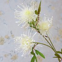 3Heads/branch Leucospermum Artificial Flowers for Wedding decoration flores artificiales plastic fake flowers fleur artificielle