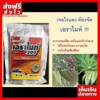 [ของแท้] เอราไมท์ สารกำจัดไรแดง แบบสัมผัสตัวตาย!! ขนาด 100 กรัม อุปกรณ์ทำสวน คุณภาพดี ส่งไว เก็บเงินปลายทาง