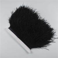 1M 5M 10Meter 8-10CM ostrich feather trims natural ribbon fringe for