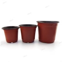 50pcs Plastic Pot Garden Planter Nursery Plant Grow Pots Cup for Flower Gardening Tools Home Tray Box Grow Pots Wholesale 17TH