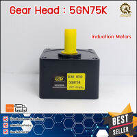 GERHEAD MOTOR CPG 5GN75K