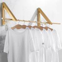 Wall Hanger Retractable Indoor Kitchen Drying Stand Rack Hanging Holder Organizer Outdoor Clothes Hanger magical Folding