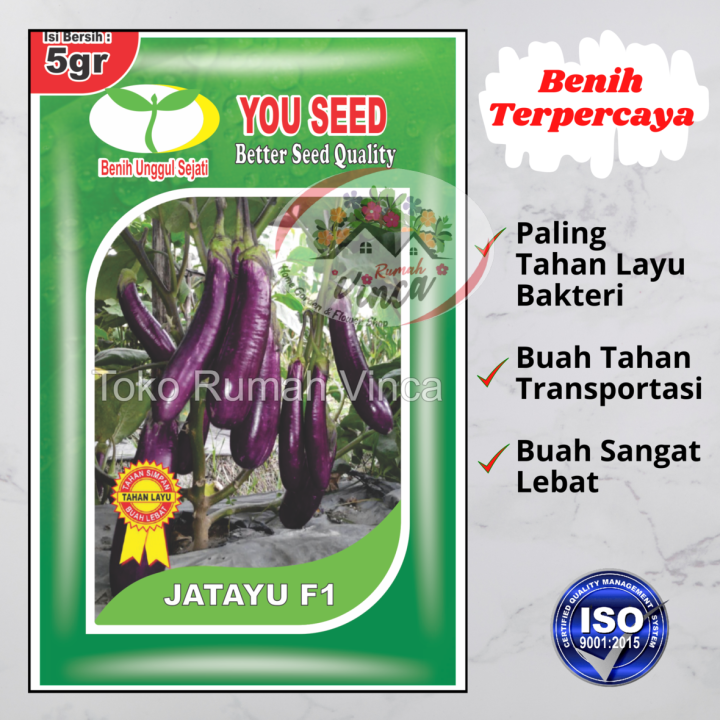 Benih Bibit Terong Ungu Panjang Jatayu F1 5 G Jagonya Tahan Layu Dari You Seed Lazada Indonesia 0254