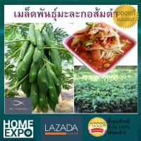 เมล็ดพันธุ์ มะละกอส้มตำ ทานผลดิบ ติดผลดก เนื้อแน่น กรอบ เหมาะสำหรับทำส้มตำ  มะละกอ