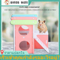 【Young Time】【มีของพร้อมส่ง】Colorful Villa Small Sleeping House Assembly ของเล่นสำหรับหนูแฮมสเตอร์ Golden Monk