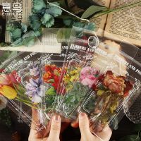 Journamm สติกเกอร์ PET ลายดอกไม้ กันน้ํา สําหรับตกแต่งสมุดภาพ 7 ชิ้น ต่อแพ็ก