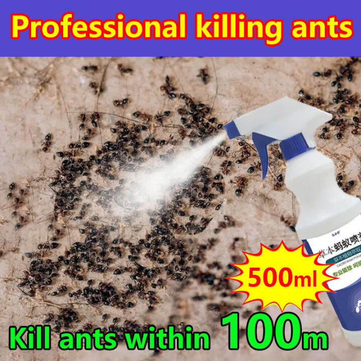 ant killer spray organic 500ml Ant bait ant killer Ant repellent spray