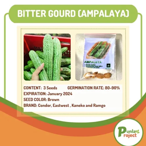 ampalaya seeds content