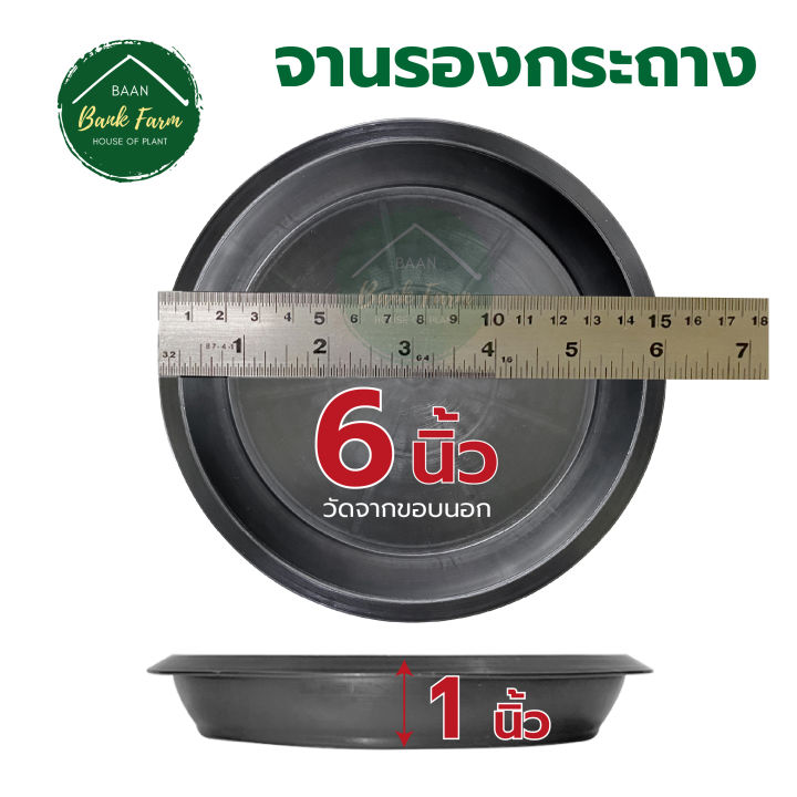 จานรองกระถาง6-นิ้ว-สีดำ-1-10ใบ-จานรองกระถางราคาถูก-จานรองกระถางพลาสติก-จานรองต้นไม้-l-บ้านแบงค์ฟาร์ม