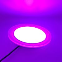 Waterproof Led Swimming Pool Lighting 42W RGB Flat Wall Mounted Soft Resin Filled Round DC12V