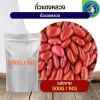 สุดยอด ถั่วแดงหลวง red kidney beans อาหารนก กระต่าย หนู กระต่าย กระรอก ชูก้า และสัตว์ฟันแทะ (แบ่งขาย 500G / 1KG)