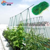 Tewango Heavy Duty Nylon Net Support for Cucumber Morning Glory Petunia Flowers Veggie Trellis Net Plant Climbing Vine