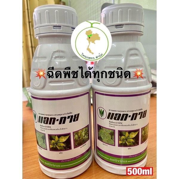 ยาไวรัส แอท-ทาย สูตรเย็น แก้โรคใบเหลือง ใบหยิก แตกยอดใหม่ ขายดี‼️