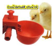 ถ้วยให้น้ำอัตโนมัติ ไก่ นก (1แพ็ค/10อัน) ขนาด 9mm