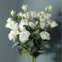 【LZ】♀  Flores Artificiais Eustoma Flor De Seda Falsa DIY Casa Jardim Decoração De Casamento Simulação Eustoma Flores 1 Buquê 4 Cabeças