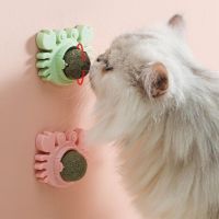Matatabi Catmint Toy for Indoor Kitten Lick Matatabi Dental Care Molar Tools Cat Chew Toy Cleaning Teeth Molar Tools B03E Toys
